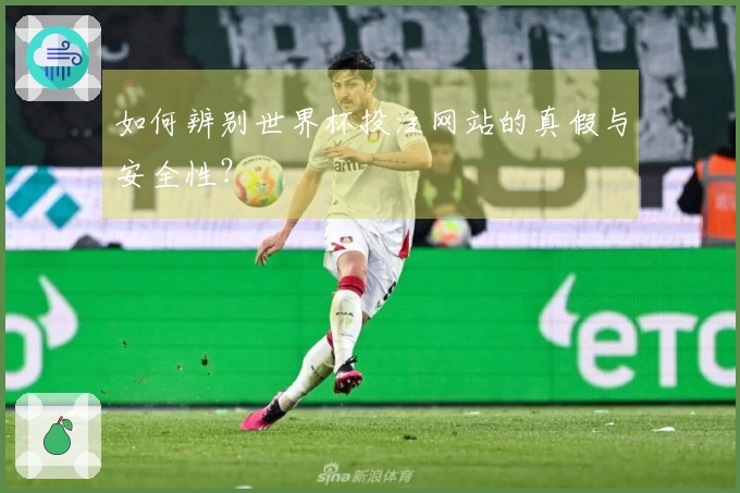 如何辨别世界杯投注网站的真假与安全性？