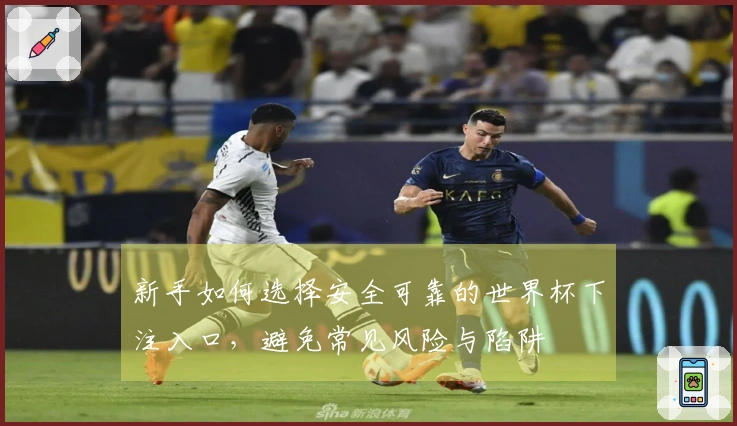 新手如何选择安全可靠的世界杯下注入口，避免常见风险与陷阱