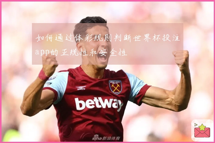 如何通过体彩规则判断世界杯投注app的正规性和安全性
