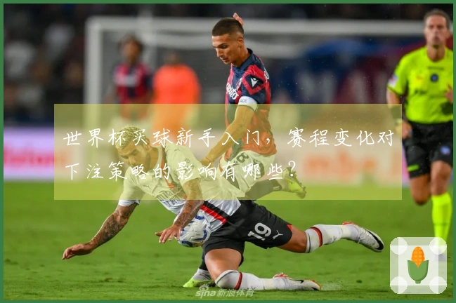 世界杯买球新手入门，赛程变化对下注策略的影响有哪些？