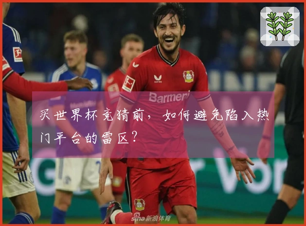 买世界杯竞猜前，如何避免陷入热门平台的雷区？