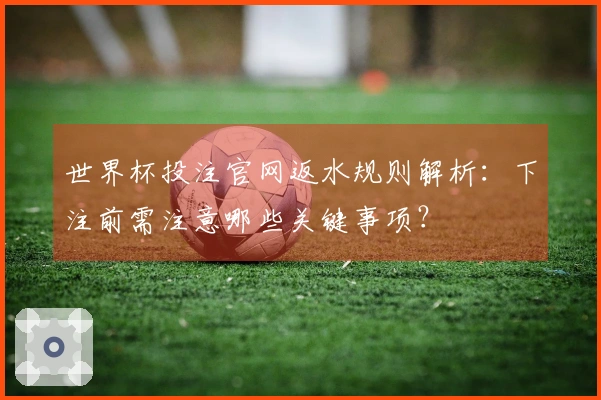 世界杯投注官网返水规则解析：下注前需注意哪些关键事项？