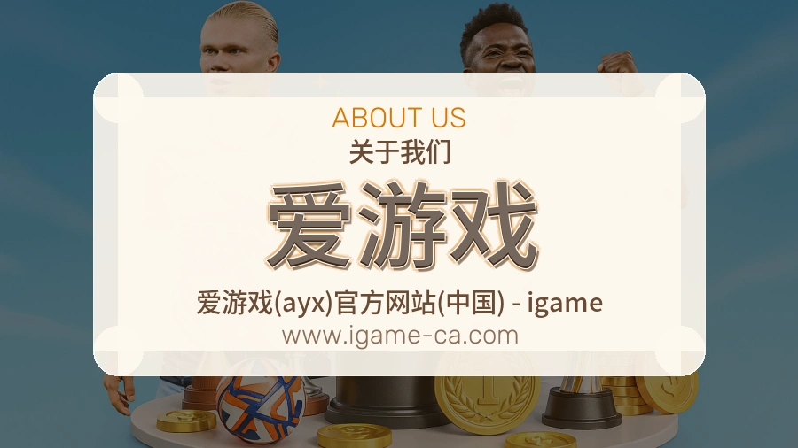 关于 爱游戏